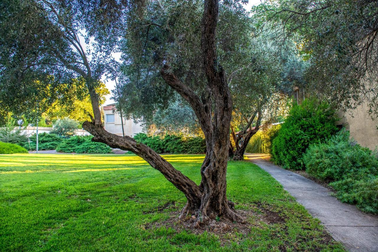 כפר הנופש קיבוץ גדות Kibbutz Gadot Galilean Resort Esterno foto