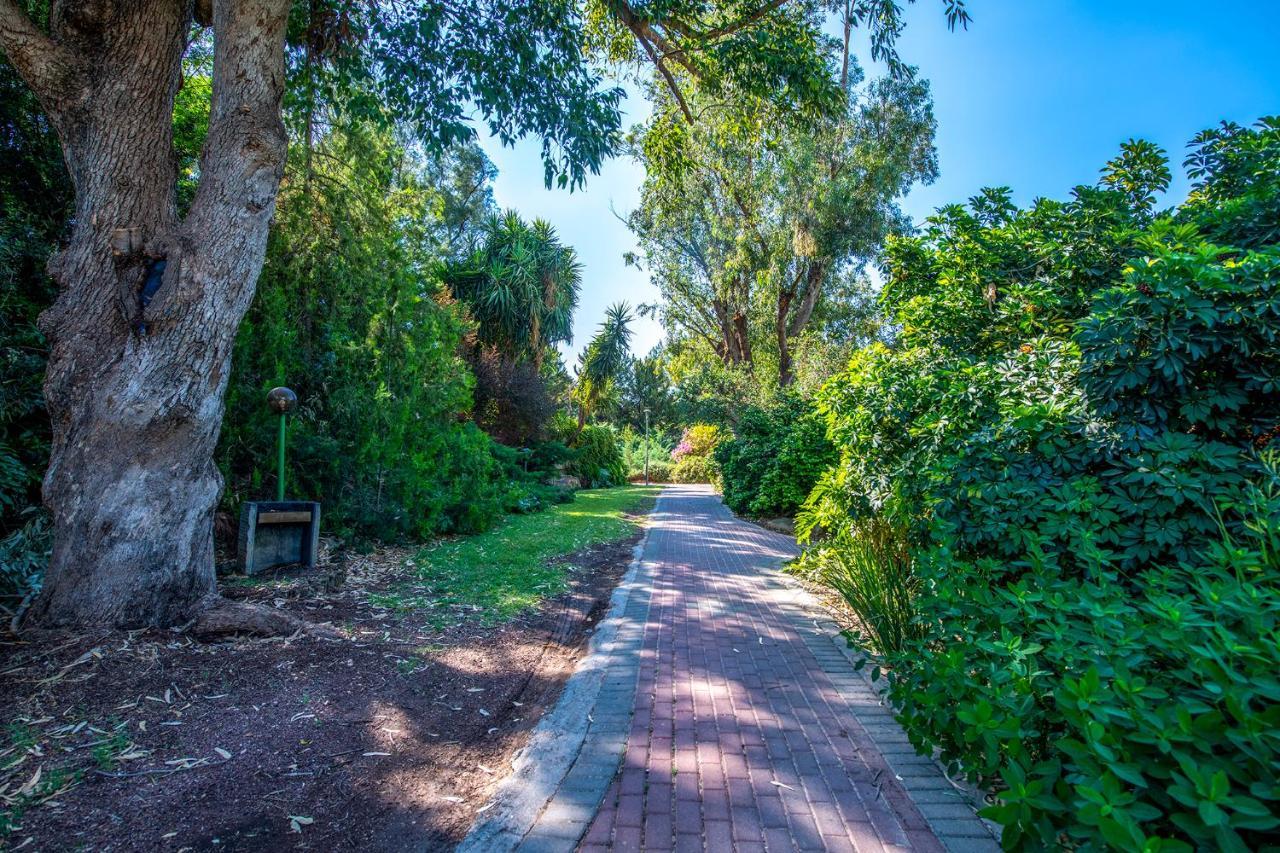 כפר הנופש קיבוץ גדות Kibbutz Gadot Galilean Resort Esterno foto