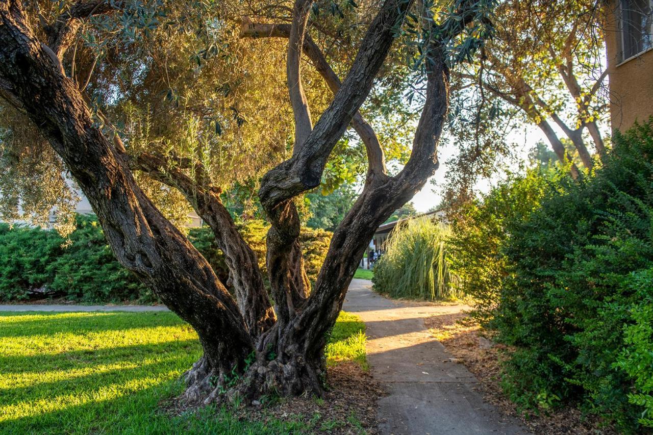 כפר הנופש קיבוץ גדות Kibbutz Gadot Galilean Resort Esterno foto